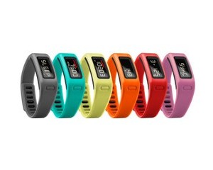���� ����Vivofit