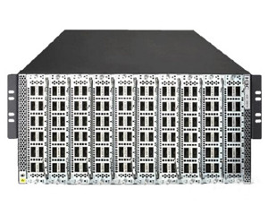 H3C S9810