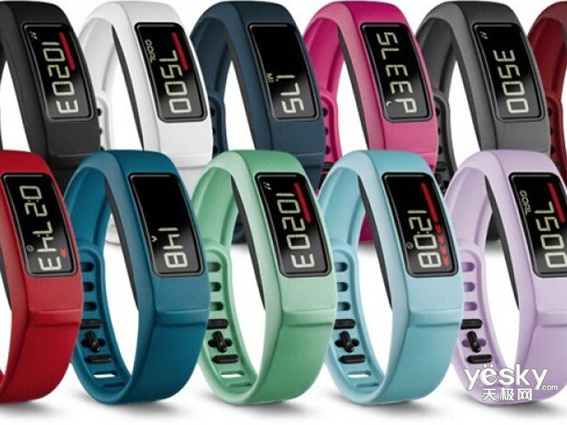 ����Vivofit 2