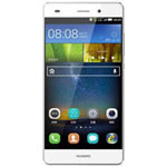 ΪP8ഺ(16GB/˫4G)