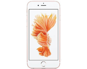 ƻ iPhone 6S Plus(õ/64GB/˫4G)