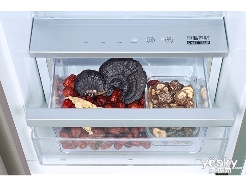 ������BCD-619WDCQU1