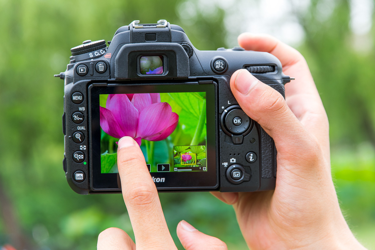 �῵D7500(����)