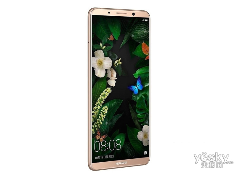 ��ΪMate 10 Pro(64GB/ȫ��ͨ)