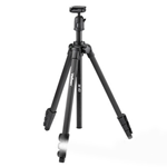 ����M43 �������/����