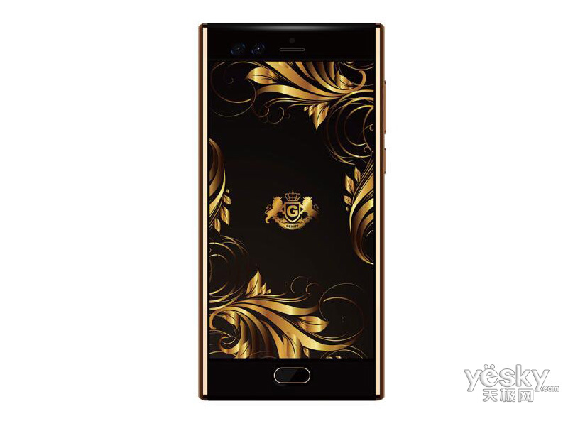 ղķʿG20(СţƤ/128GB/ȫ��ͨ)