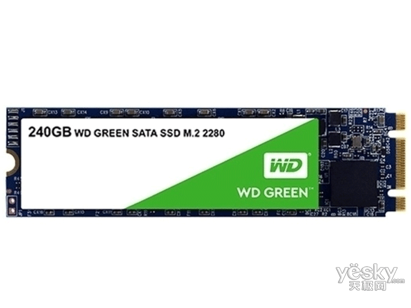 ��������WDS240G2G0B