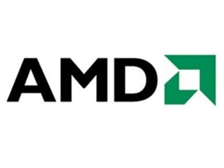 AMD Athlon 300U图片