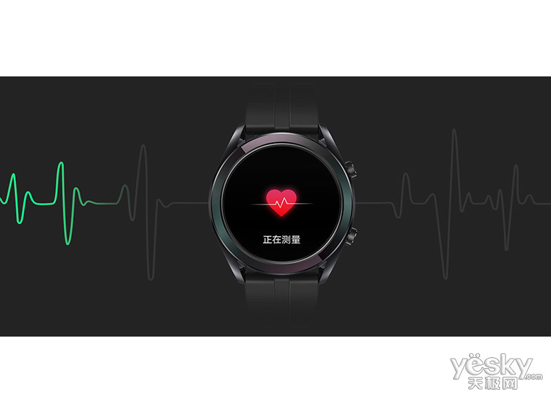 ��ΪWatch GT ���¿�