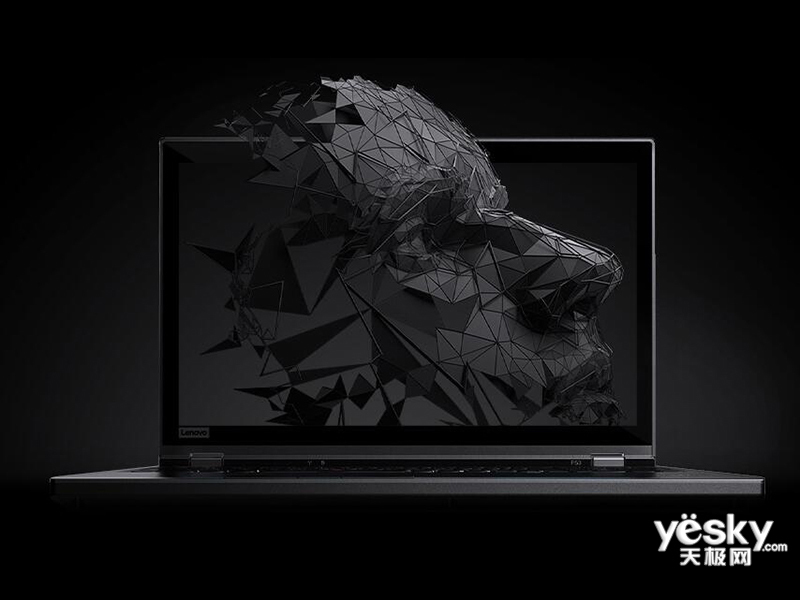 ThinkPad P53(i5 9400/16GB/512GB+2TB/T1000)