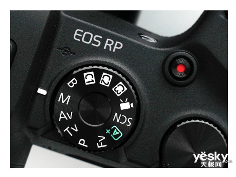 EOS RP׻(FR24-105mm f/4)