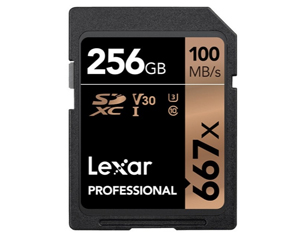 �׿�ɳ667��SD��(256GB)ͼƬ