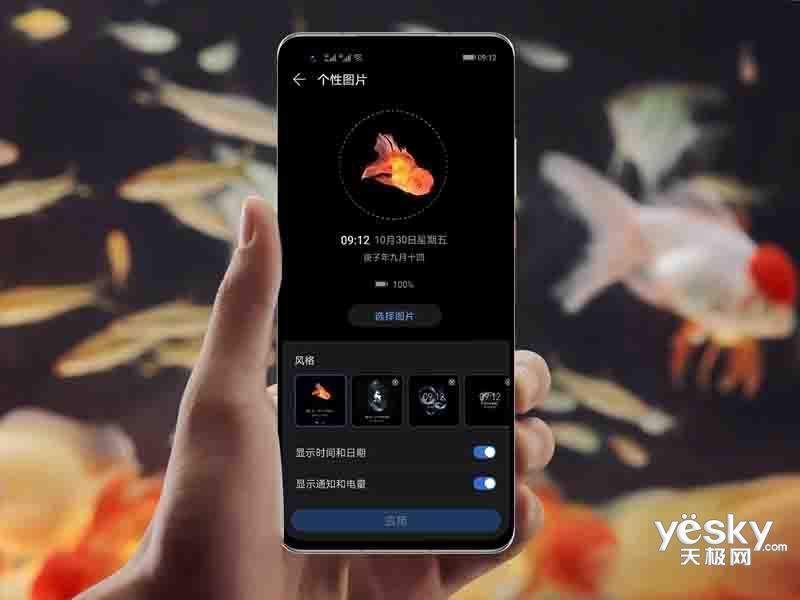 ��ΪMate 40(8GB/256GB/5G��)
