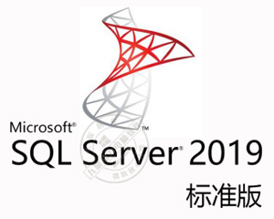 Microsoft SQL server 2019 ׼ û