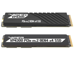 VP4300 M.2 Gen4 SSD(2TB)