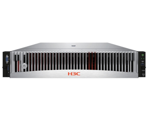 H3C UniServer R4950 G5(EPYC 7302/32GB/960GB×2/1200w)