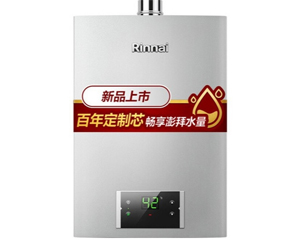 林内JSQ31-D32