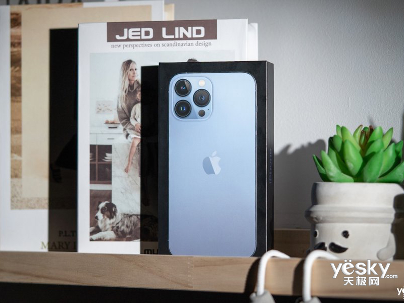 ƻ�� iPhone 13 Pro Max(512GB/ȫ��ͨ/5G��)