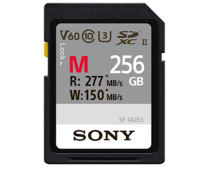 索尼SF-M256(256GB)