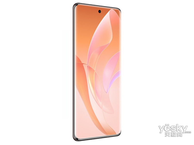 ��ҫ60 Pro(8GB/256GB/ȫ��ͨ/5G��)