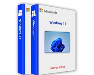 ΢Microsoft Windows 11