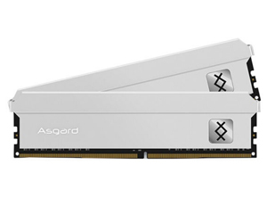 ˹ظ Freyr 16GB(28GB)DDR5 4800ͼƬ