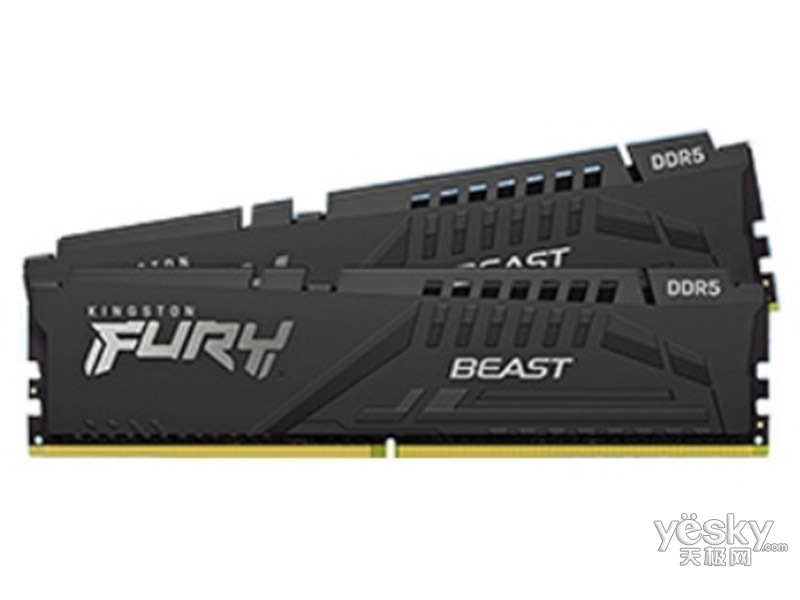 ʿFURY Beast 16GB(28GB)DDR5 6000(KF560C40BBK2/16)
