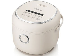 СDFB-P20H1