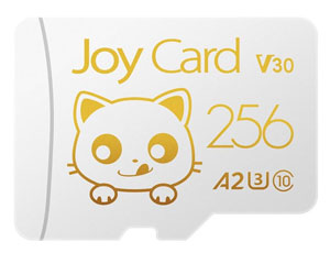 BanQ JOY Card�� 256GB