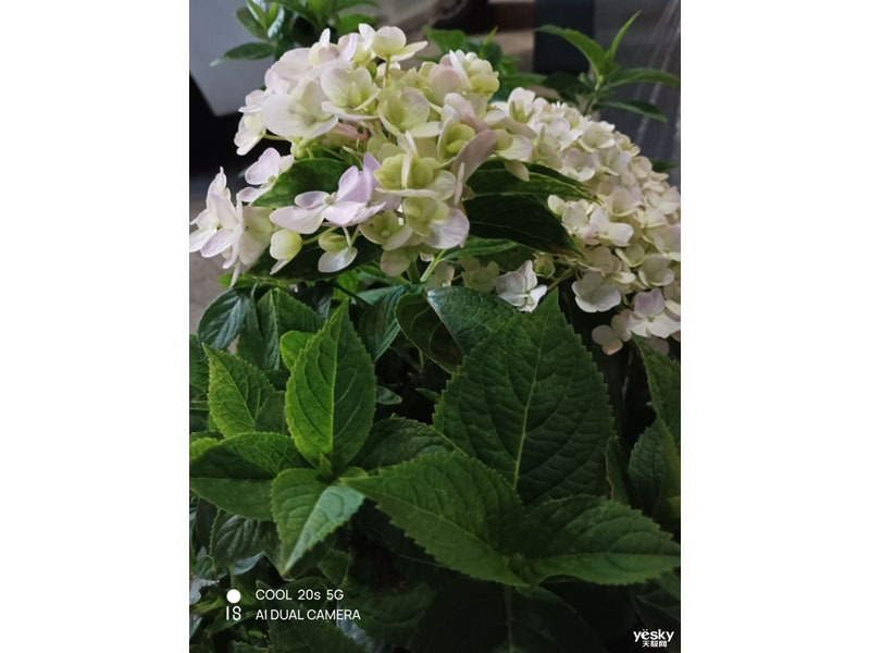 ����COOL 20s(6GB/128GB/ȫ��ͨ)