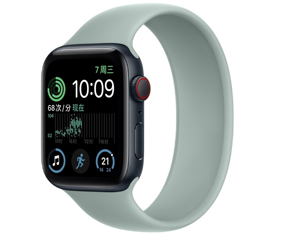 苹果Apple Watch Series SE银色铝金属表壳单圈表带 石莲蓝色 GPS+蜂窝网络 40mm