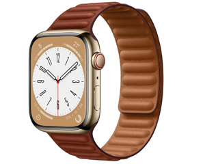 苹果Apple Watch Series 8金色不锈钢表壳皮制链式表带 赭红色 M/L号+蜂窝网络 41mm