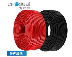 ��Ҷԭר�����令����2��2.0mm? 15��ͼƬ