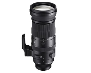 ����150-600mm F5-6.3 DG DN OS | Sports(L����)ͼƬ