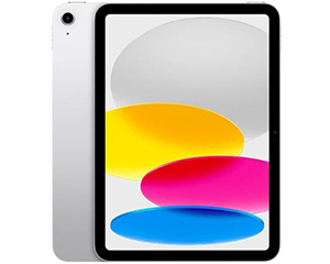 苹果iPad 2022(64GB/Cellular版)