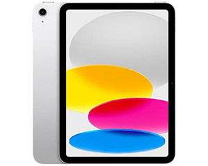 苹果iPad 2022(256GB/WLAN版)
