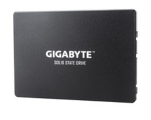 ����GSTFS30256GTTD(256GB)