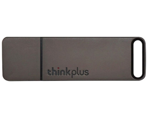 thinkplus TU100 256GB