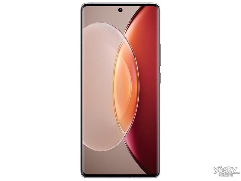 vivo X90S(12GB/512GB/ȫ��ͨ/5G��)