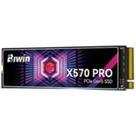 BIWIN άX570 PRO(1TB)