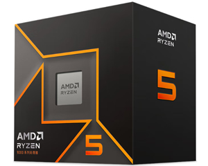 AMD  5 9500F (R5)