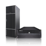 ��ΪOceanStor Dorado 18500 V6 NAS/SAN�洢��Ʒ/��Ϊ